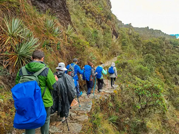 Top 5 Inca Trail Tour Companies