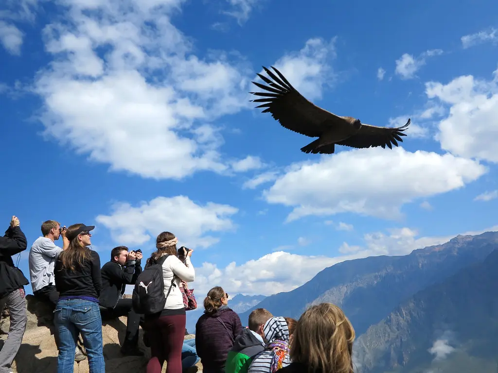 Travel to Arequipa Experience History Adventure and Culture