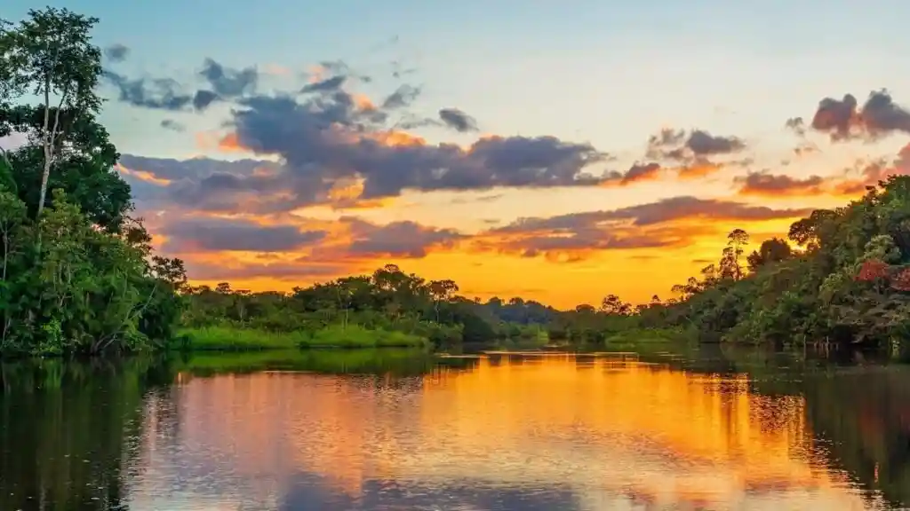 manu national park