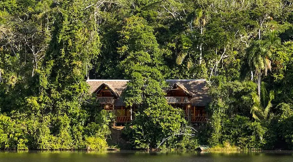 Jungle Adventures: Eco-Lodge Hidden in the Amazon Rainforest