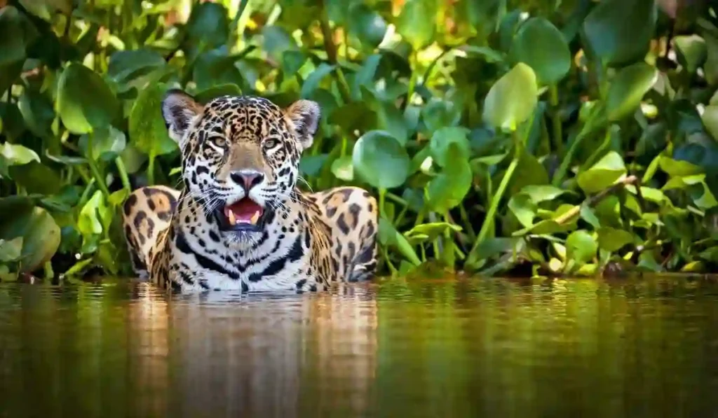 Wildlife and travel photography 