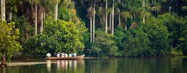 Jungle Adventures: Exploring the Amazon River by Boat