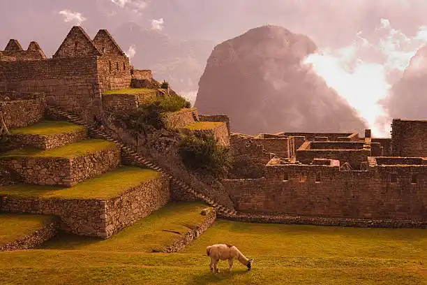 Questions about Travel To Peru