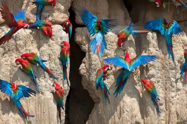 National parks in Peru