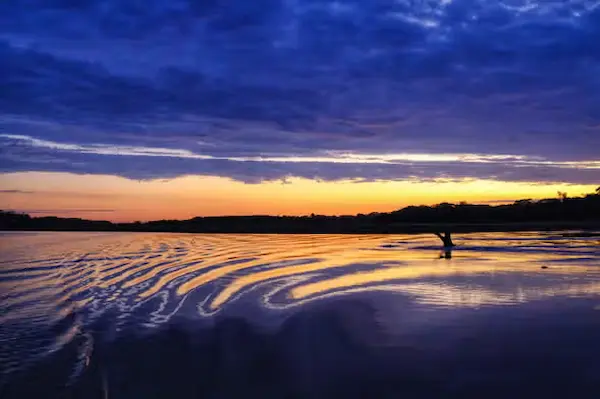 Madre de Dios River (Puerto Maldonado)