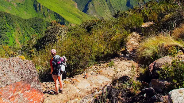 Short Inca Trail History Without the Exhaustion