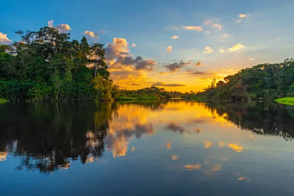 Why has the jungle of Peru become so photogenic?