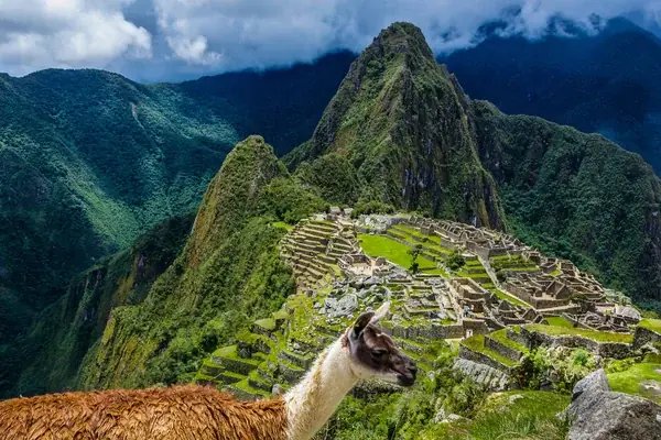 Customized tours for every kind of traveler