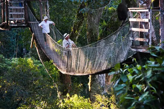 jungle tours