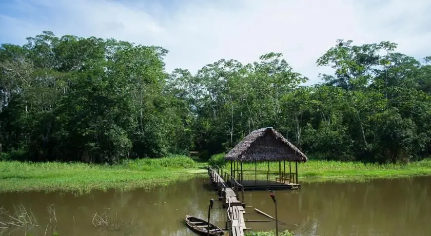 Peru jungle tours