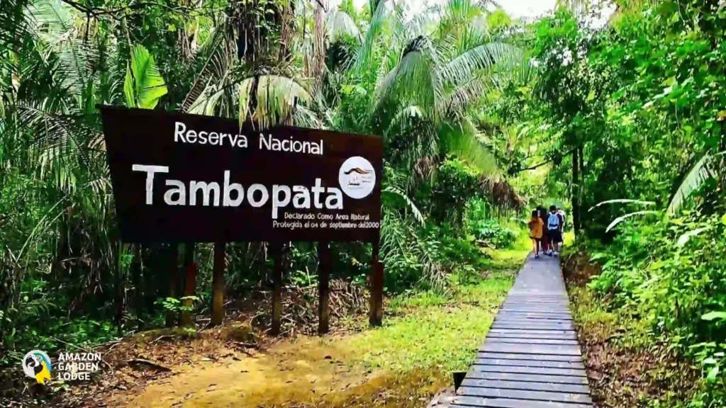 Top destinations and tours offered by Amazon Garden Lodge