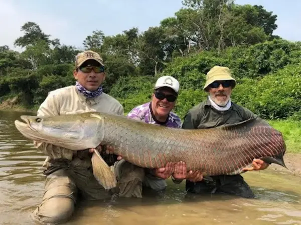 tourists observing biggest fish in Amazon on Peru river tour