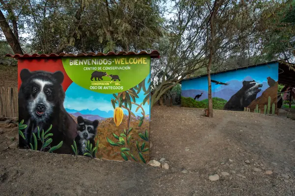 zoos in Peru endangered species Andean condor spectacled bear conservation