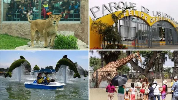 zoos in Peru wildlife parks biodiversity animals conservation tourism