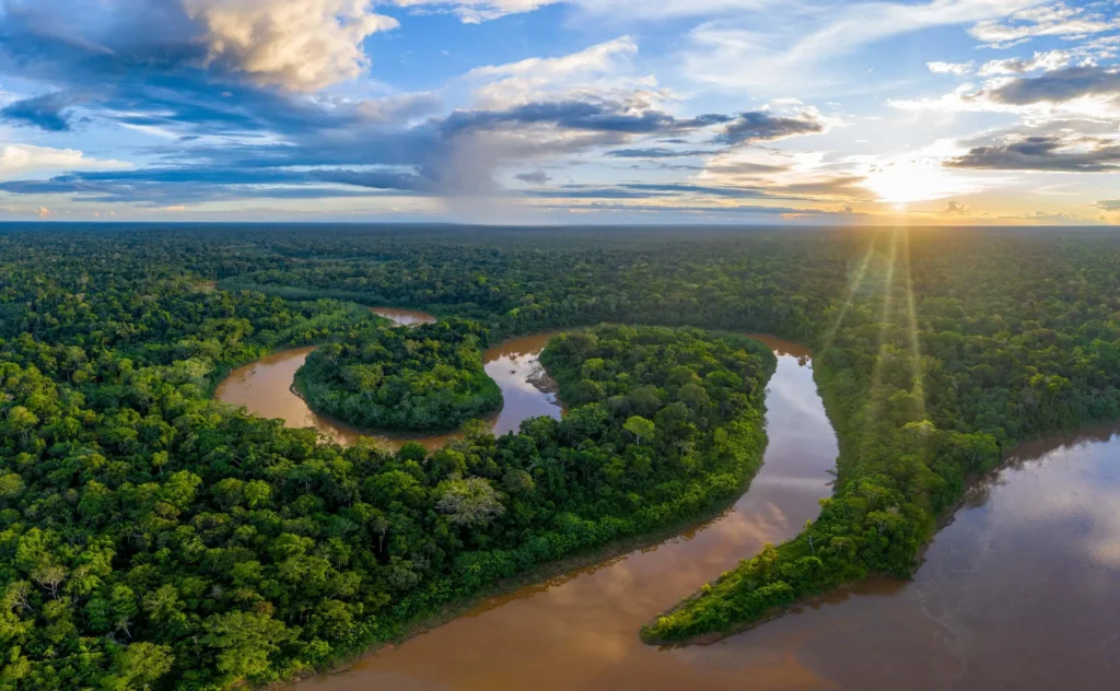 Discovering the amazon